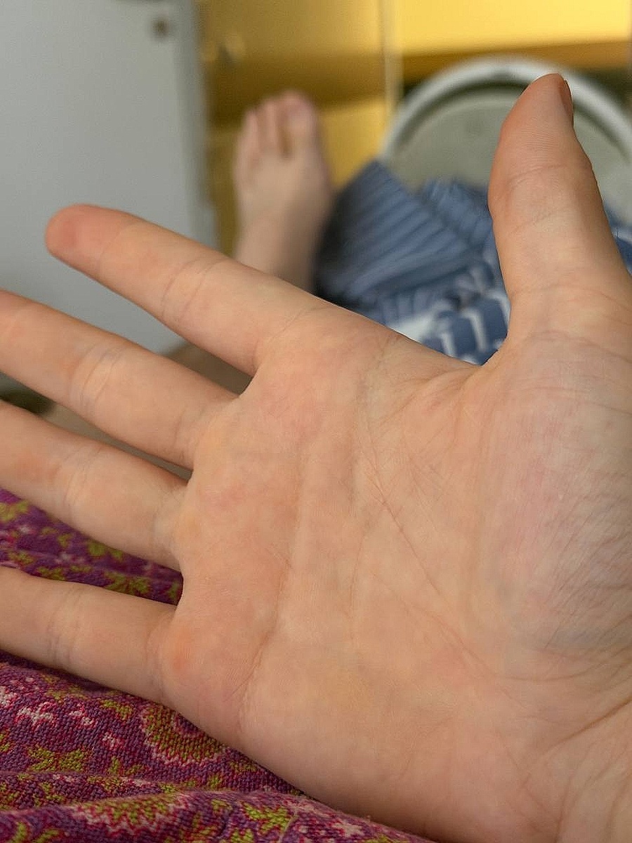 Фото с моего канала Дзен