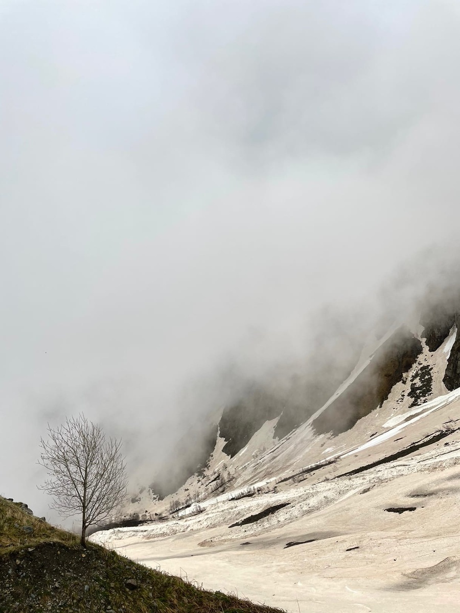 Сказский ледник, Цейское ущелье, Северная Осетия, май 2022