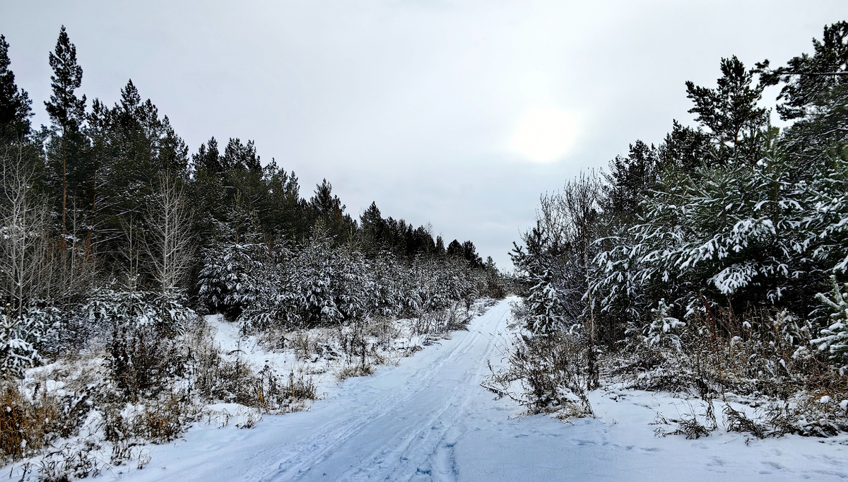 Пейзаж рядом с нашим домом