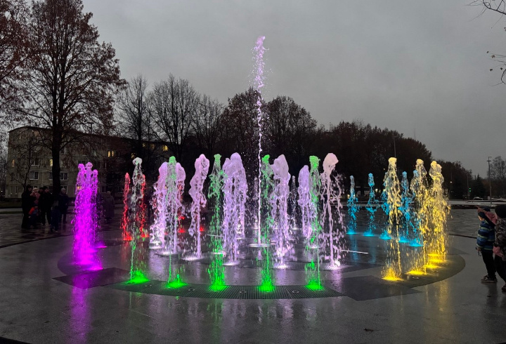 фото: t.me/kingisepp_lo