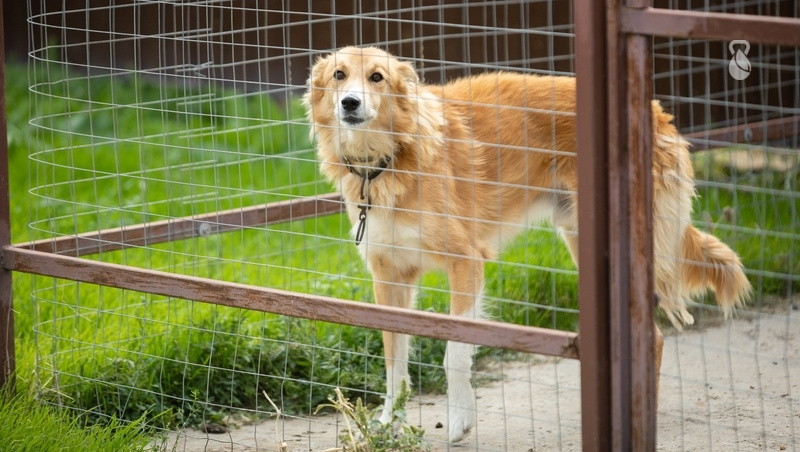      Фото: Дмитрий Ахмадуллин / / ИА «Победа26»
