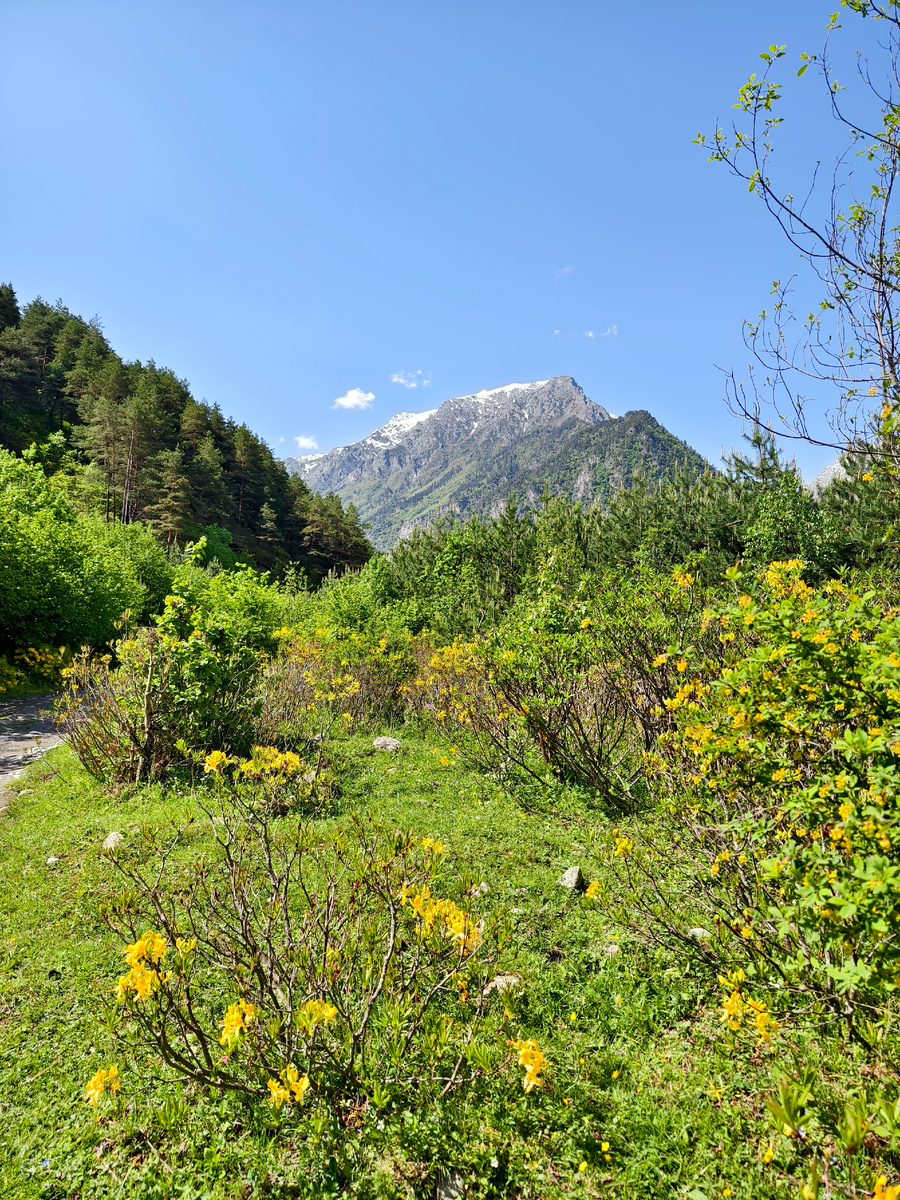 У начала тропы