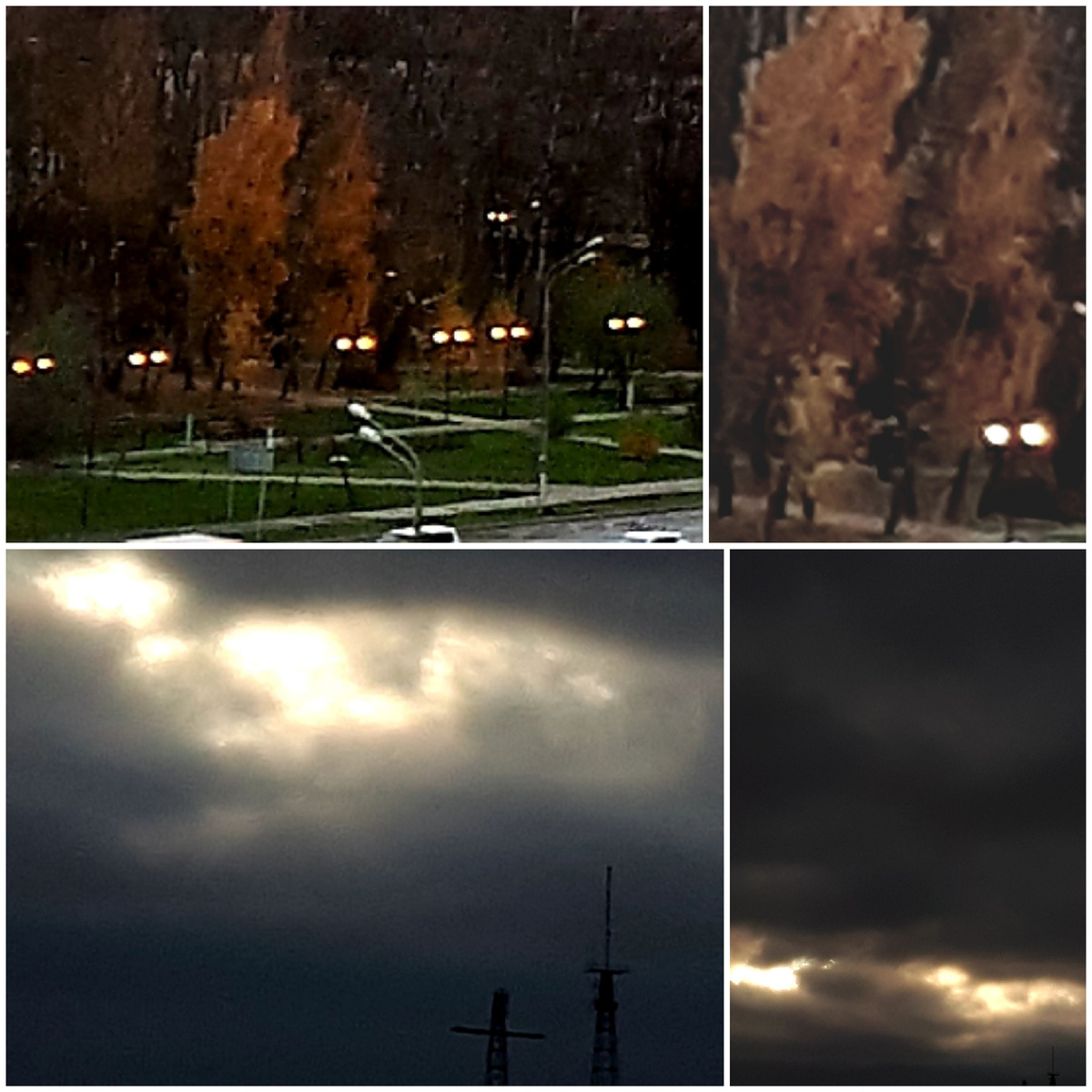 Коллаж автора 08.11.2025г.