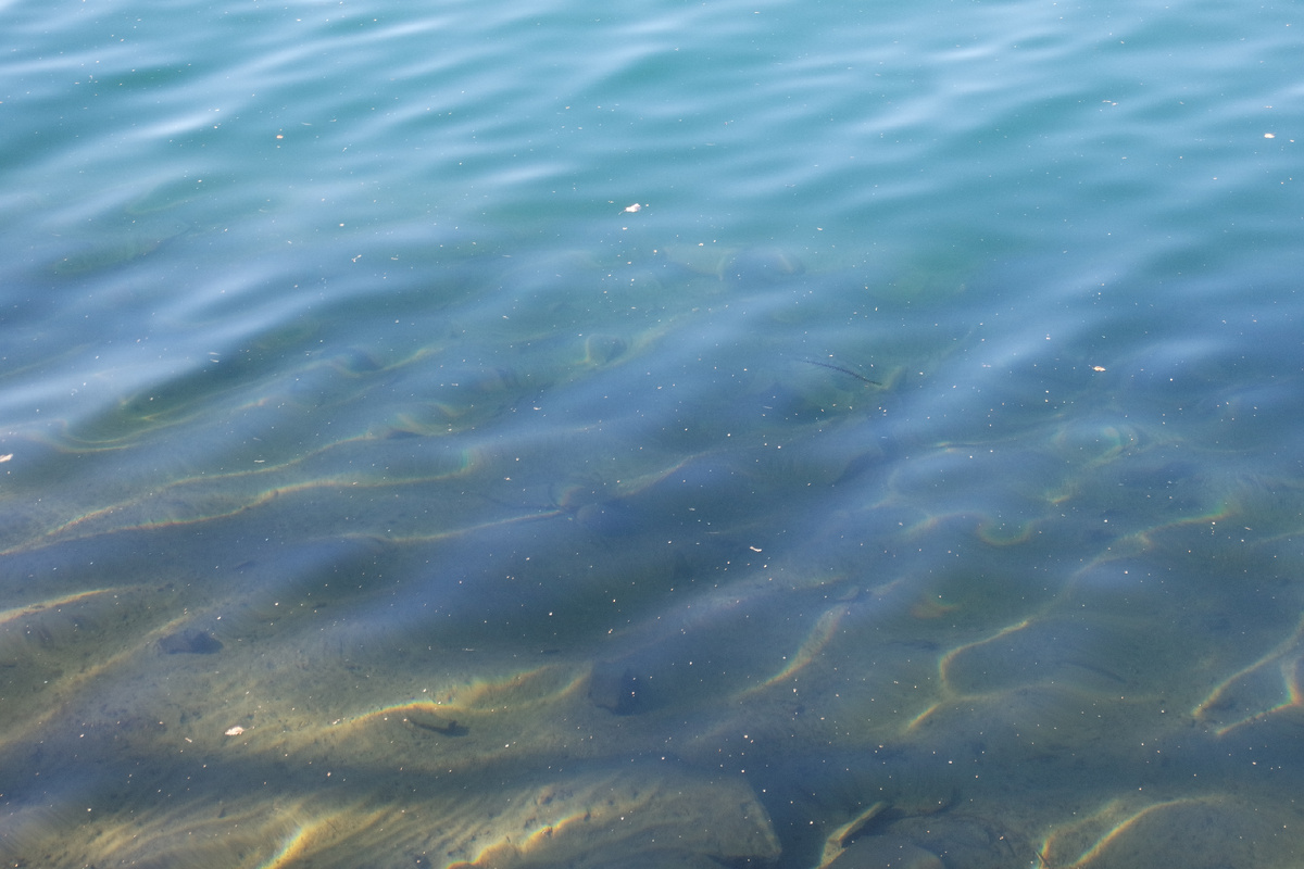 и становишься спокойной как эта бирюзово-изумрудная вода с наброшенной золтой сеткой слабой ряби... волнения проходят поверху, не касаясь потаённых глубин