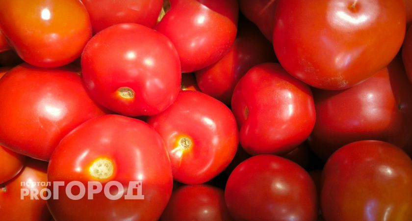    Выбираю холодостойкий сорт томатов — плодоносит щедро: нетребовательный, а вкус — как у тепличных "богатырей"