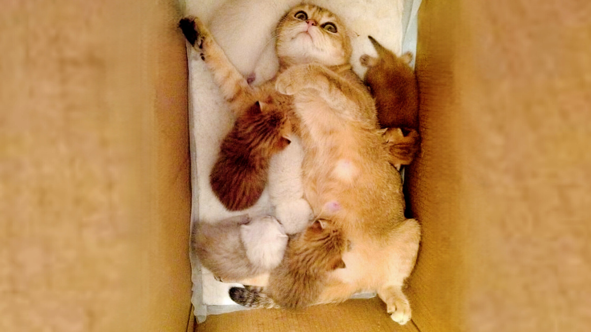 Когда же я отдохну...