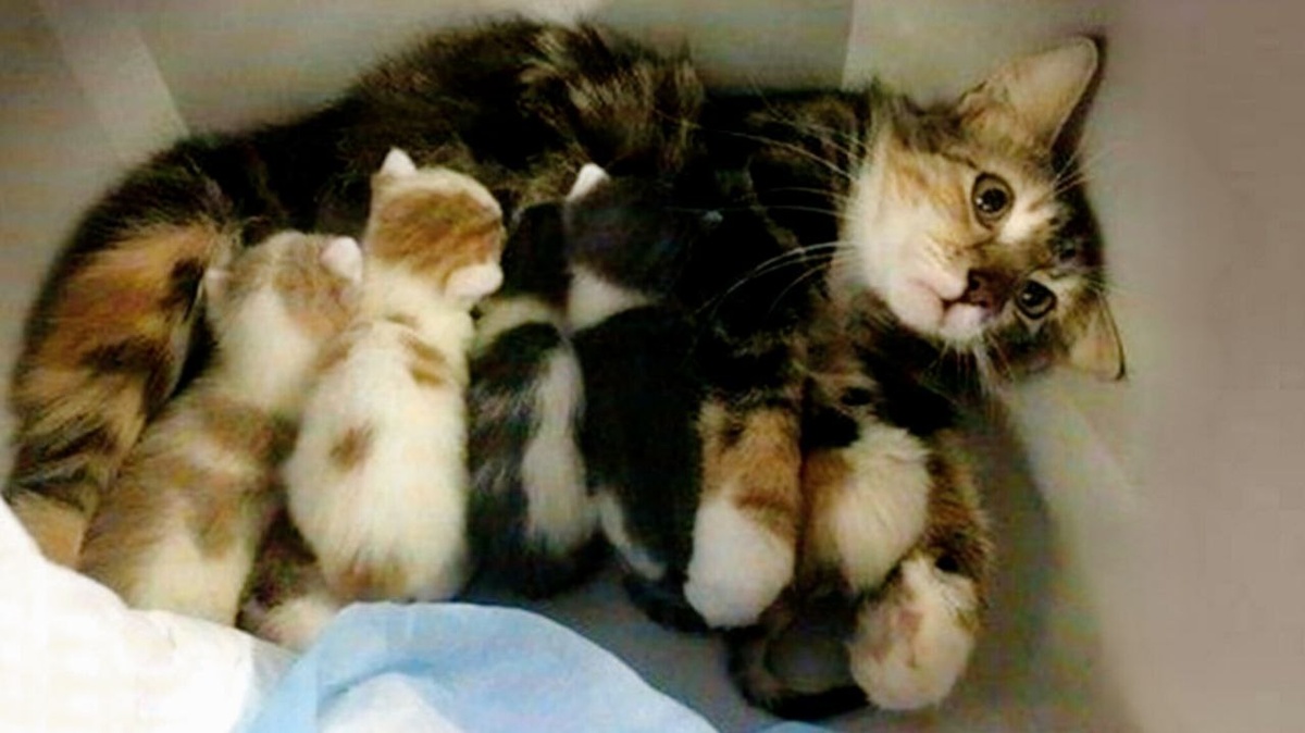 Не всегда радужное, а часто откровенно тяжелое. ЕЩЕ фото --->>