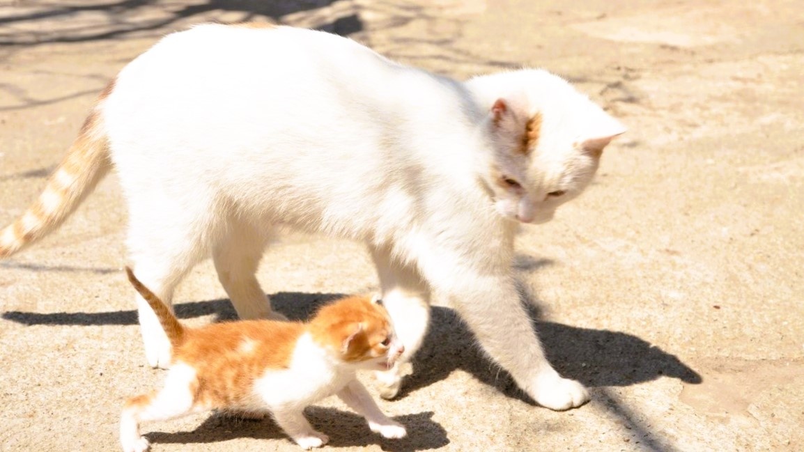 А потом, ты вырастешь большим и сильным!