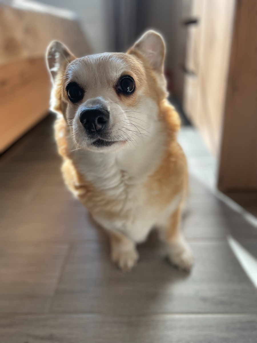 "Мамка, ты слышишь эти шорохи? Неужели пробралась..."