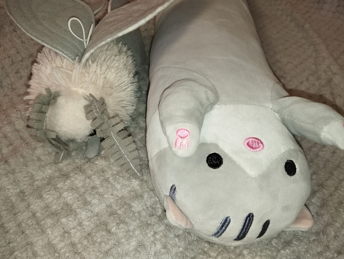 Моль Бледная и Мурзик Черноморский. Фото автора.