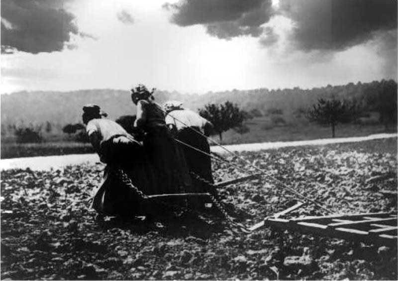 Женщина на сельхозработах в качестве тягловой силы
