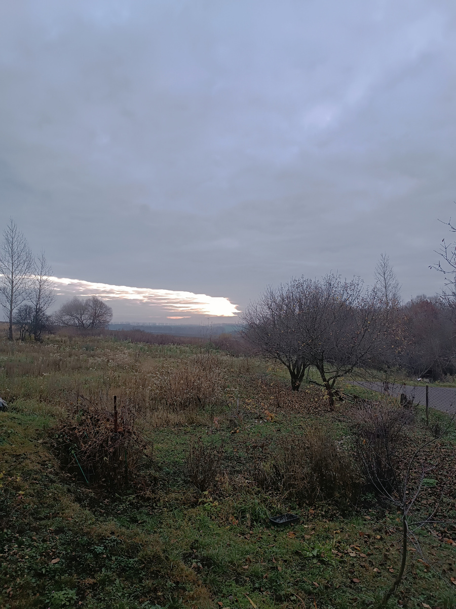 Утро. Попытка солнышка не удалась 🤷‍♀️