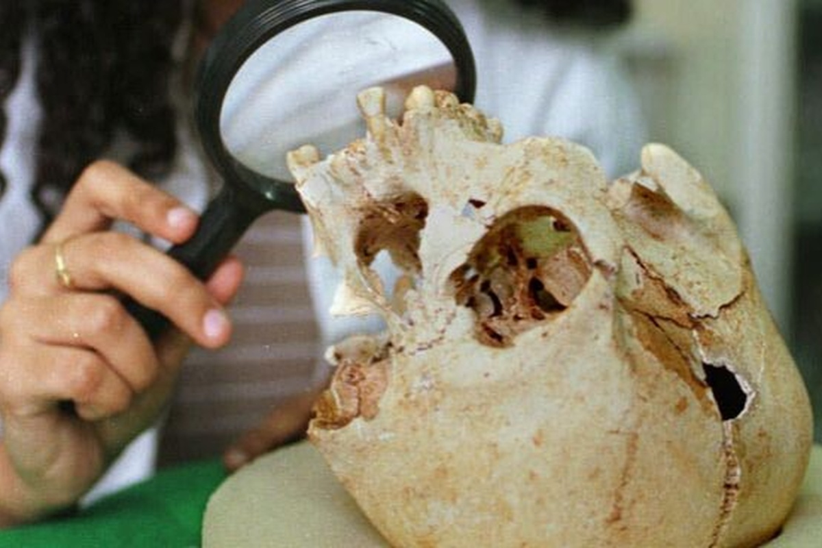    Фото: Renzo Gostoli, источник: ria.ru