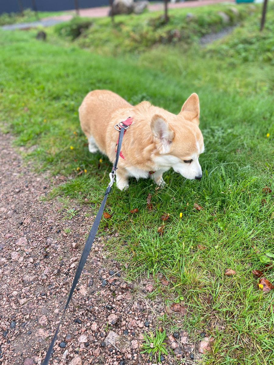 "Какая же интересная трава!"