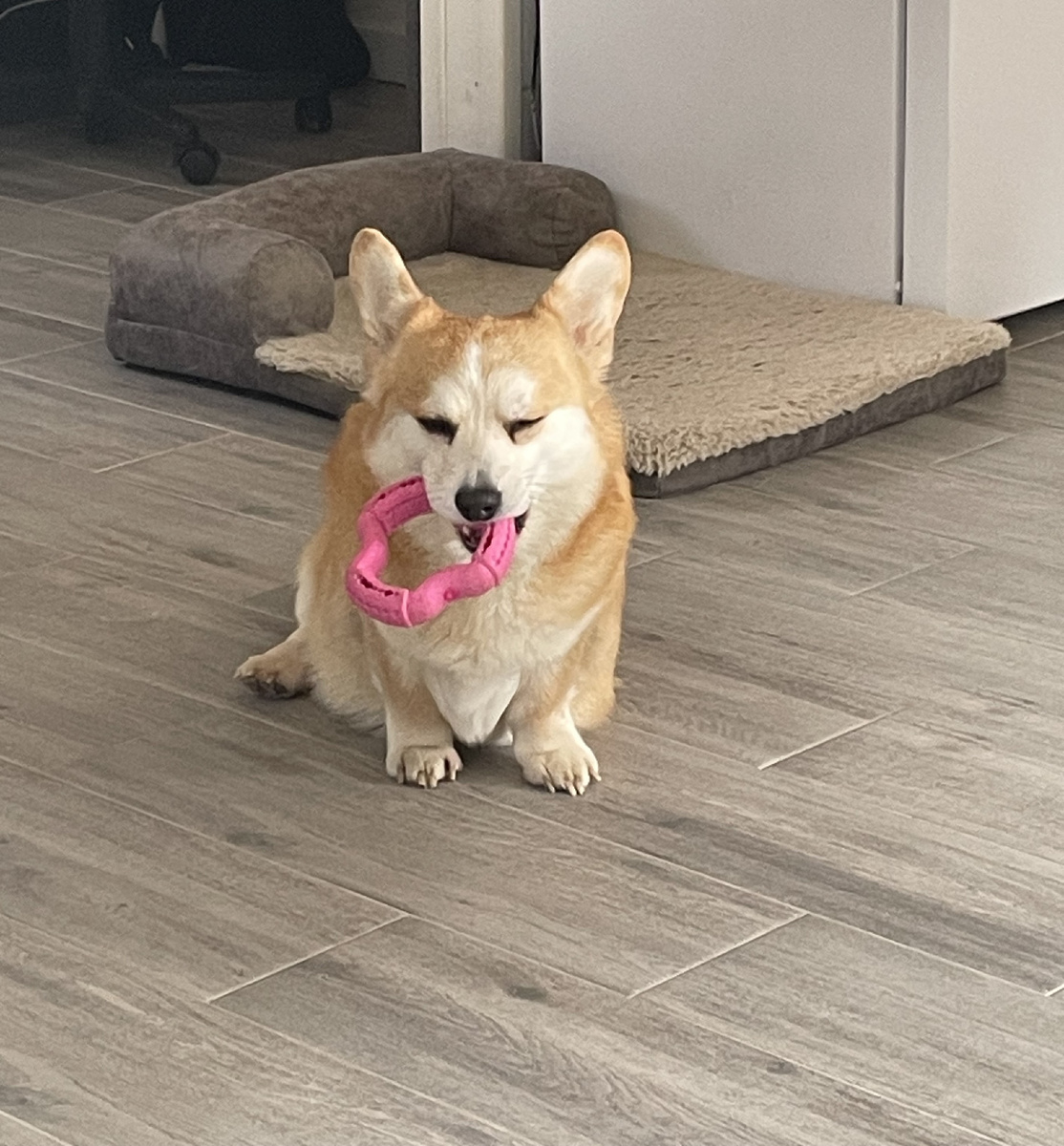 Я не готовилась, не надо меня снимать!