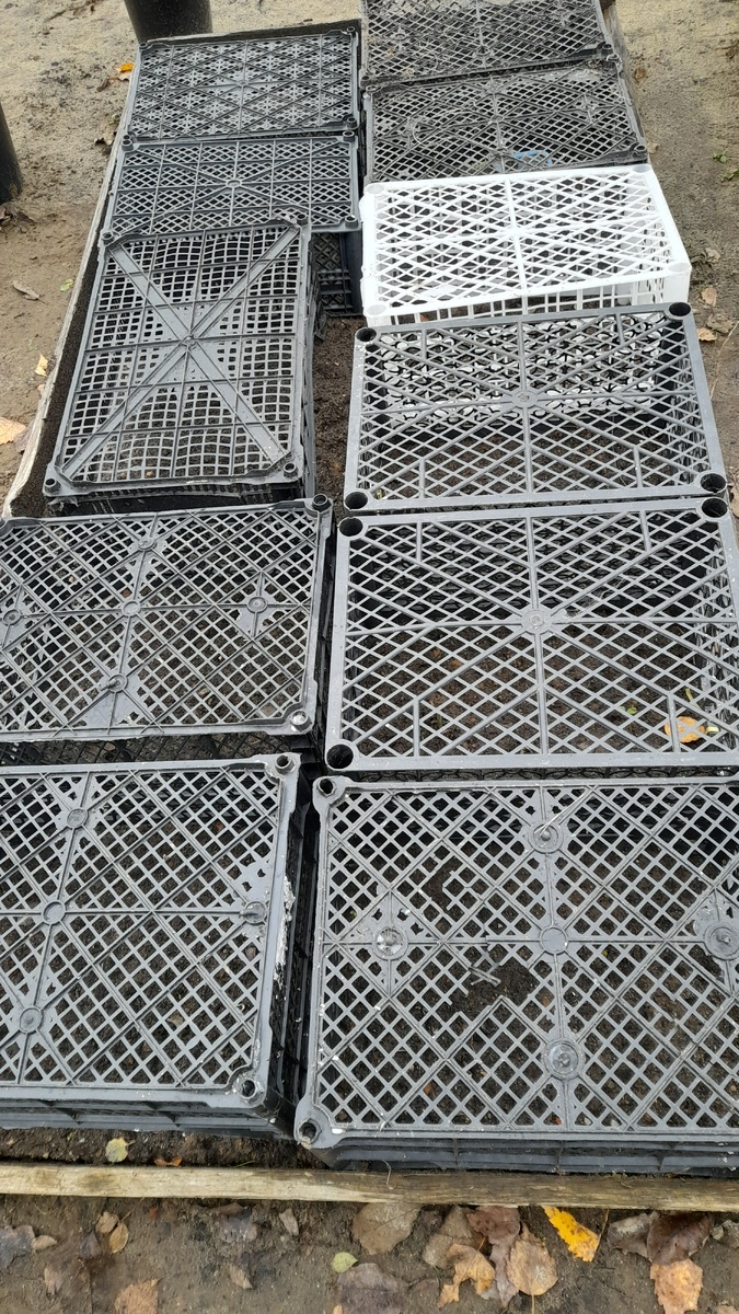 Череночная грядка