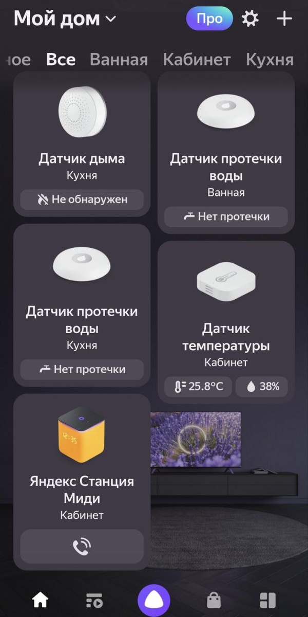 Скрин из приложения Умный дом с Алисой