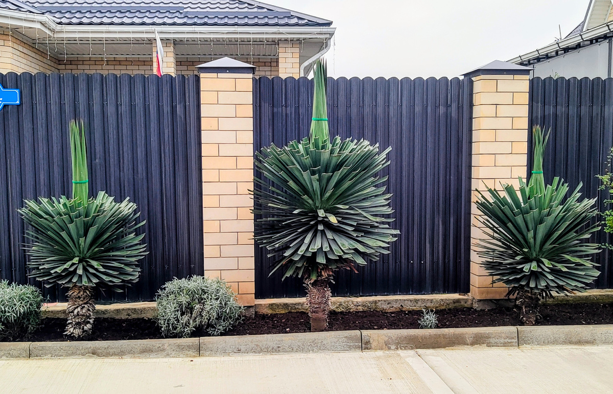 Обращаю внимание на  Юки у дома напротив. Оригинально!