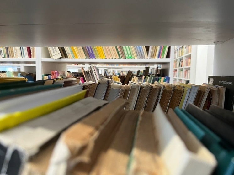     фото: мк в вологде