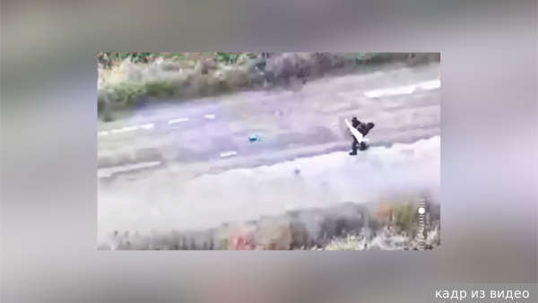     Фото: кадр из видео   
 Текст: Андрей Резчиков