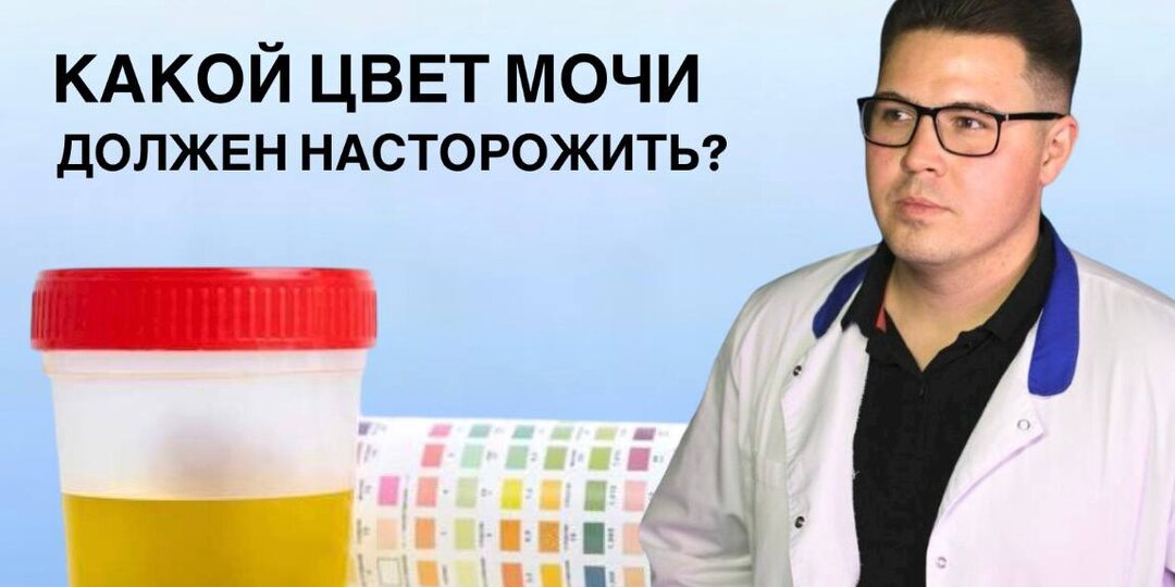 Ваша моча может предупредить болезнь раньше, чем анализы. Рассказываю, как понять