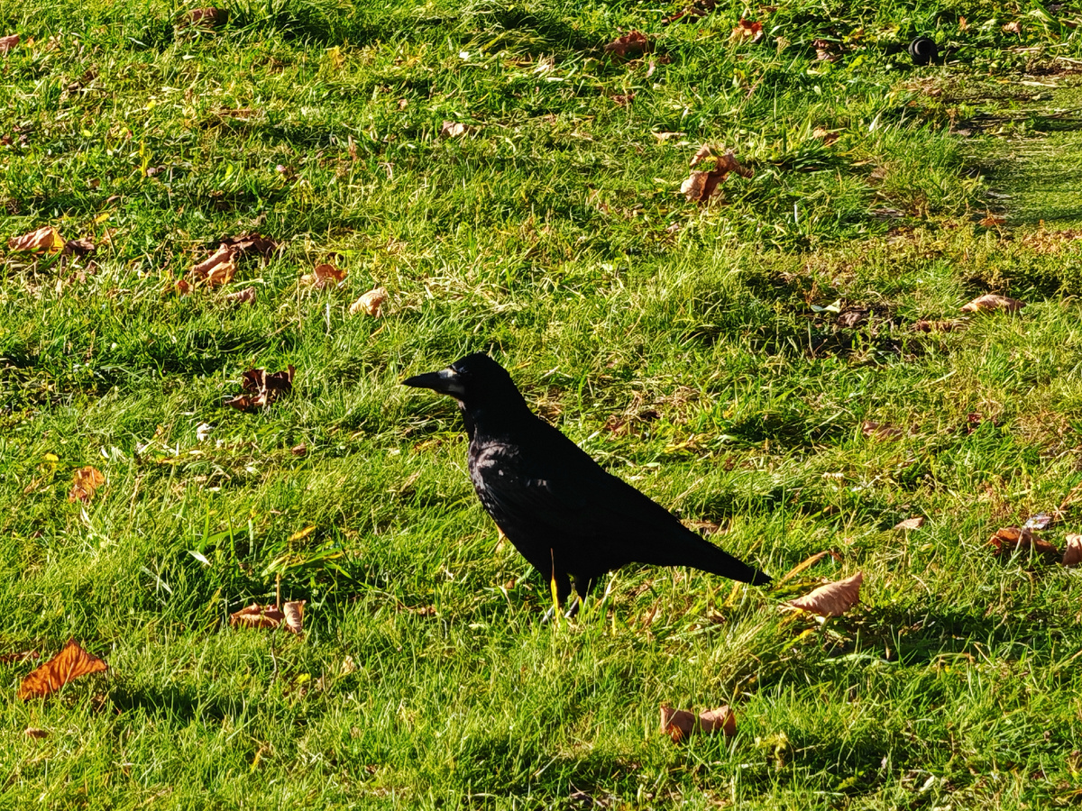 Фото автора канала.
