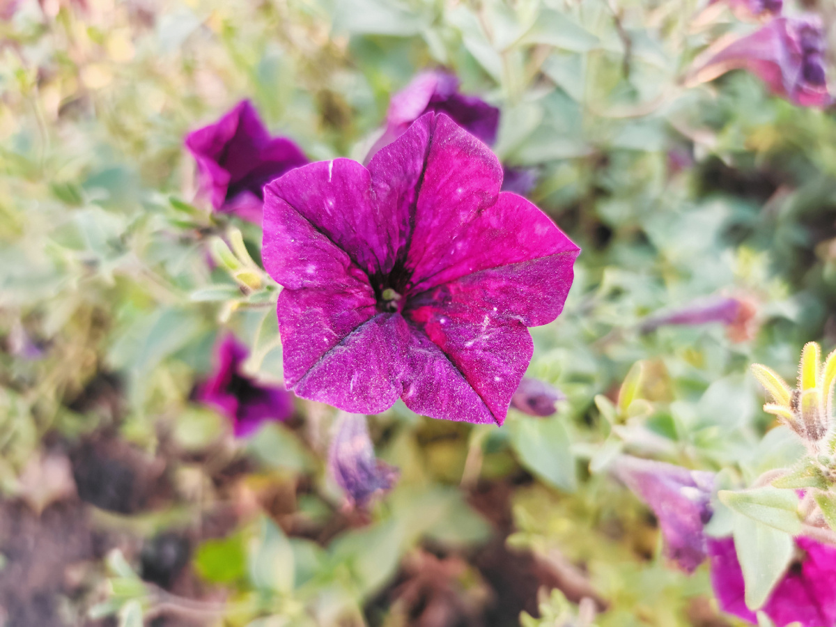 Фото автора канала.