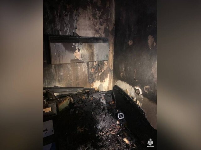    Фото: телеграм-канал "МЧС Московской области"