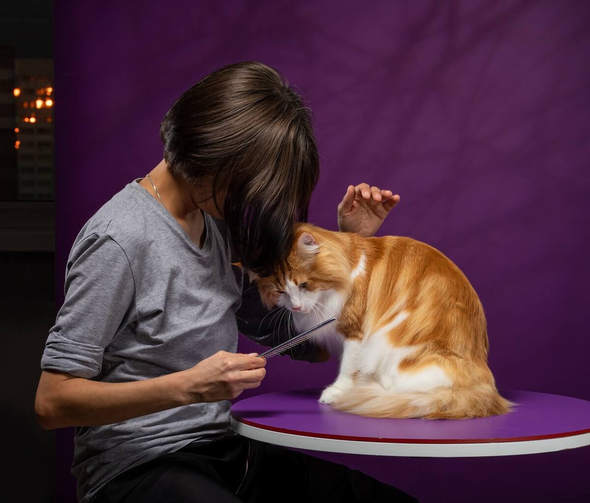 Грумер может использовать знания о феромонах в своей работе, чтобы успокоить кошку