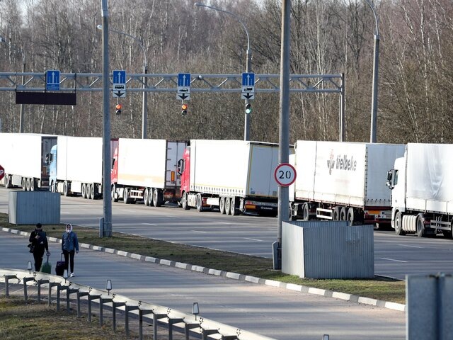    Фото: ТАСС/Наталия Федосенко