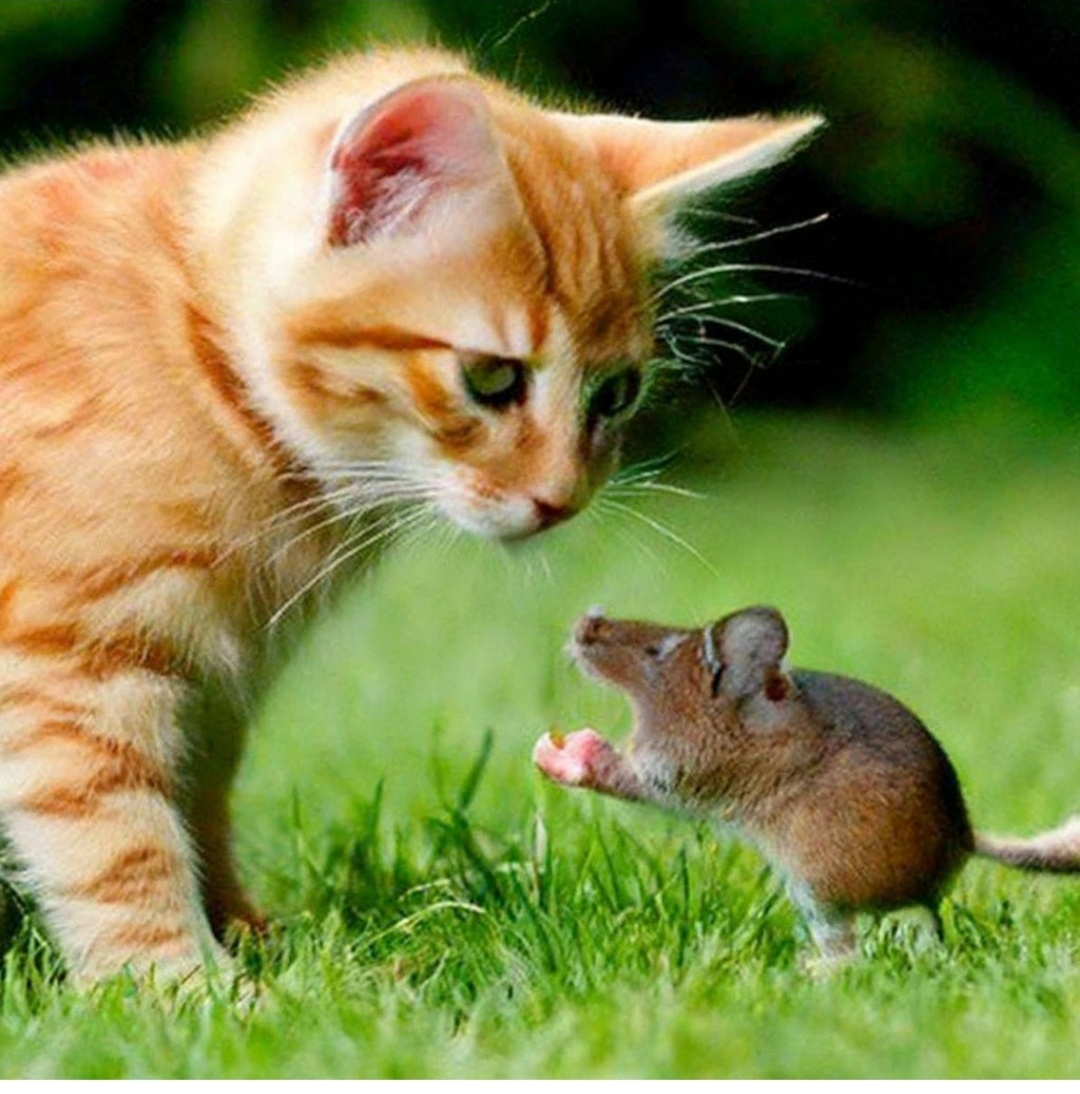 Фото из интернета