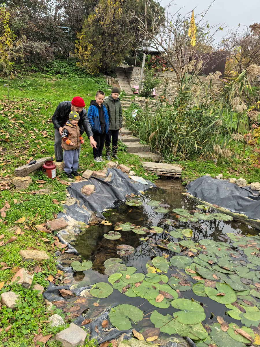 Надо больше рыбок завести
