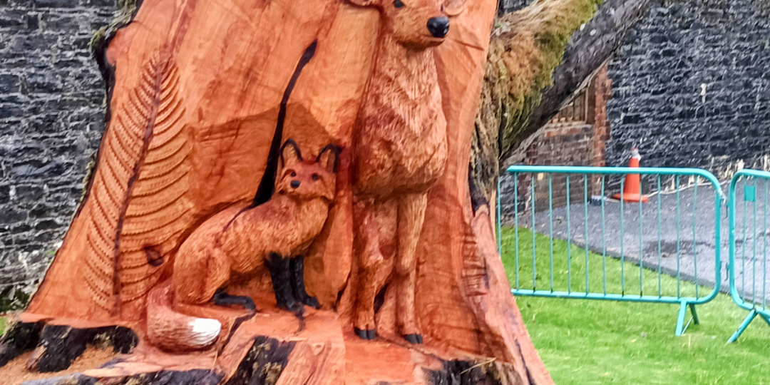 Исторические тропы Аббатства Kylemore и волшебство викторианского сада