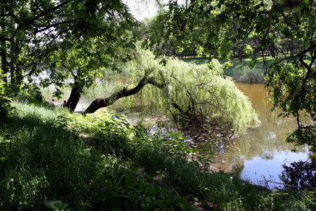 Прогулка по Азотному в Донецке