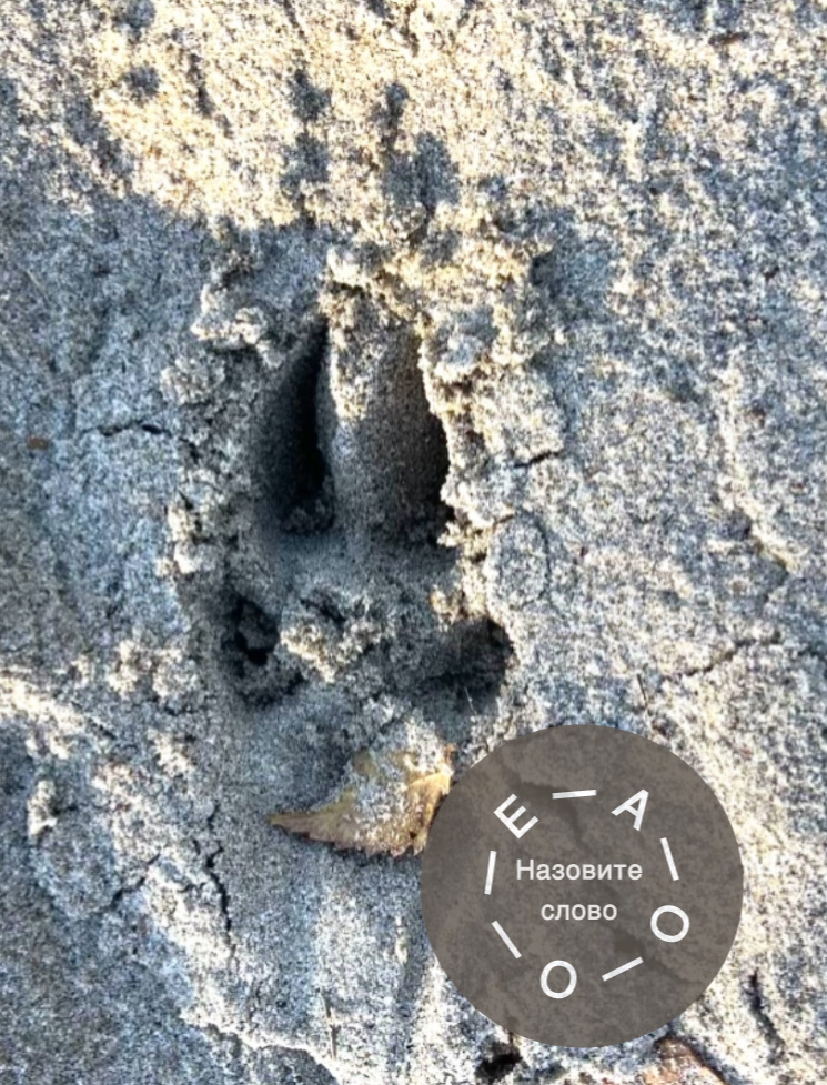 Загадка-Головоломка 