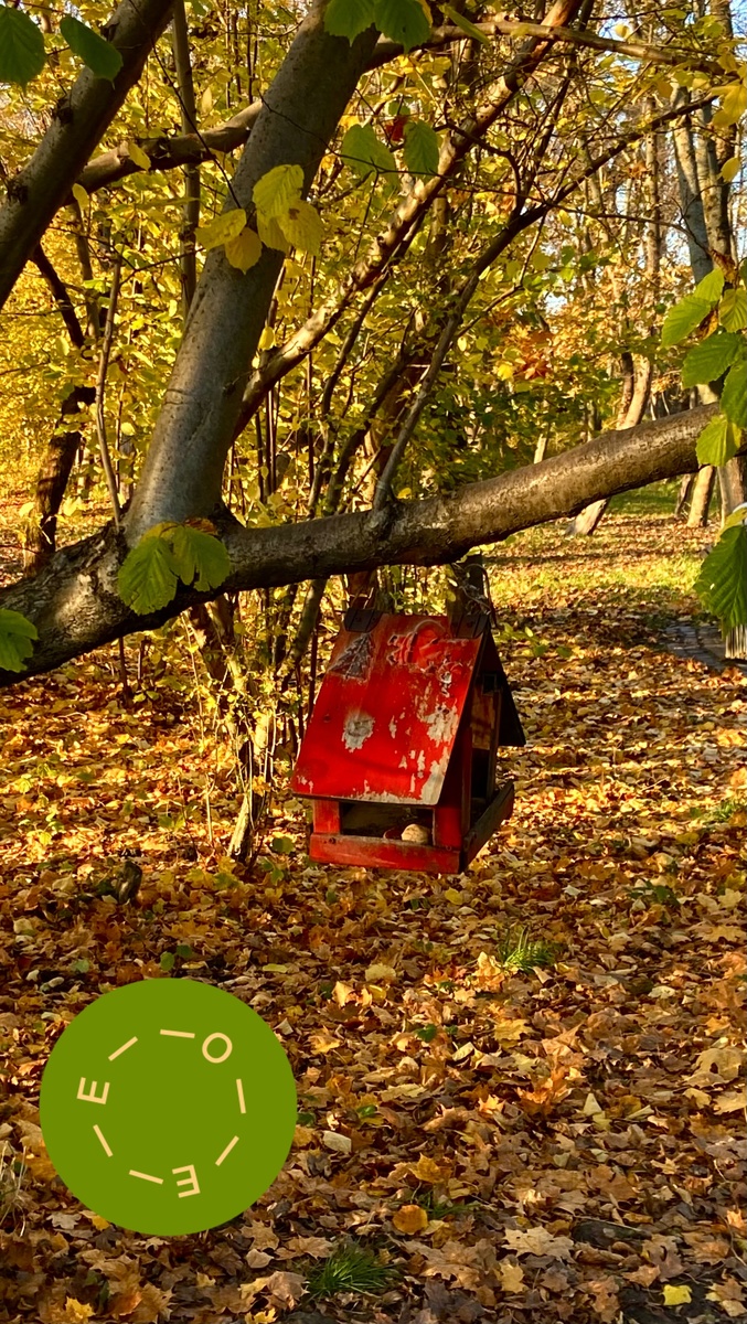 Загадка-головоломка