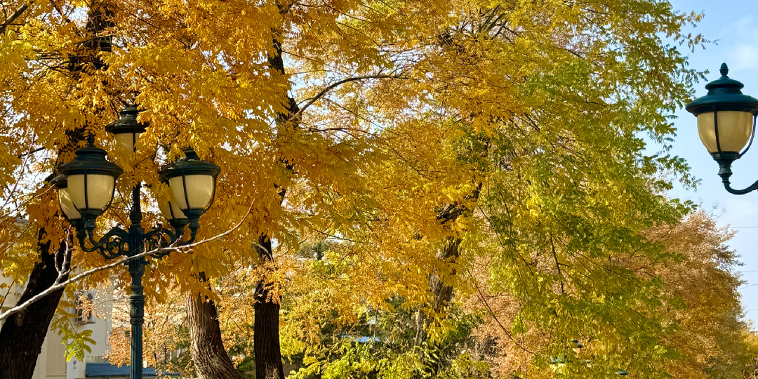 Кисловодск. Золотой ноябрь