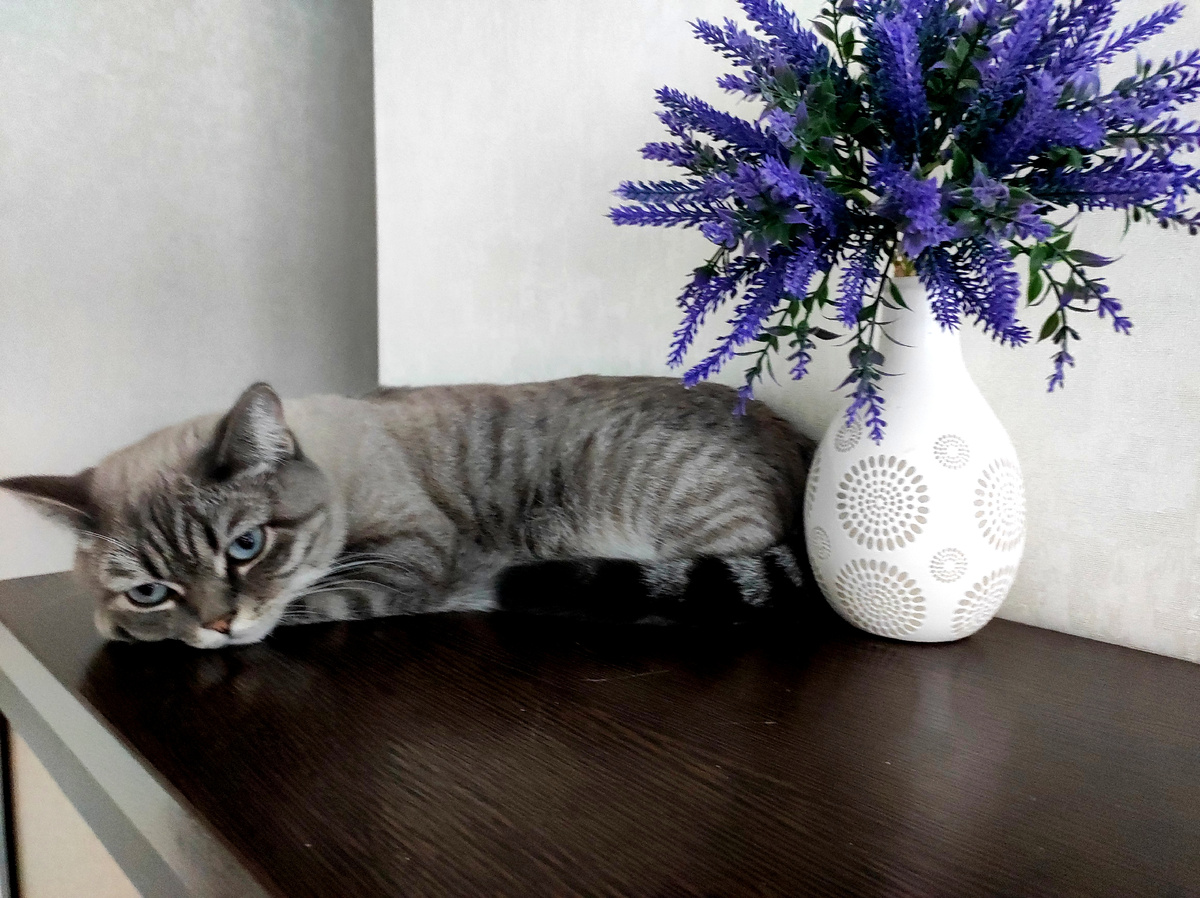 Соня отдыхает)