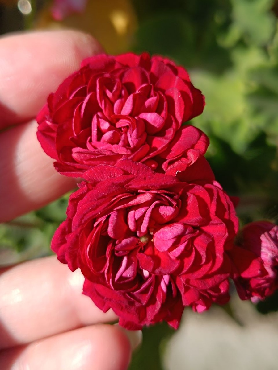 ЮГ Элина Быстрицкая. Красотка и виновница моих вокзальных приключений