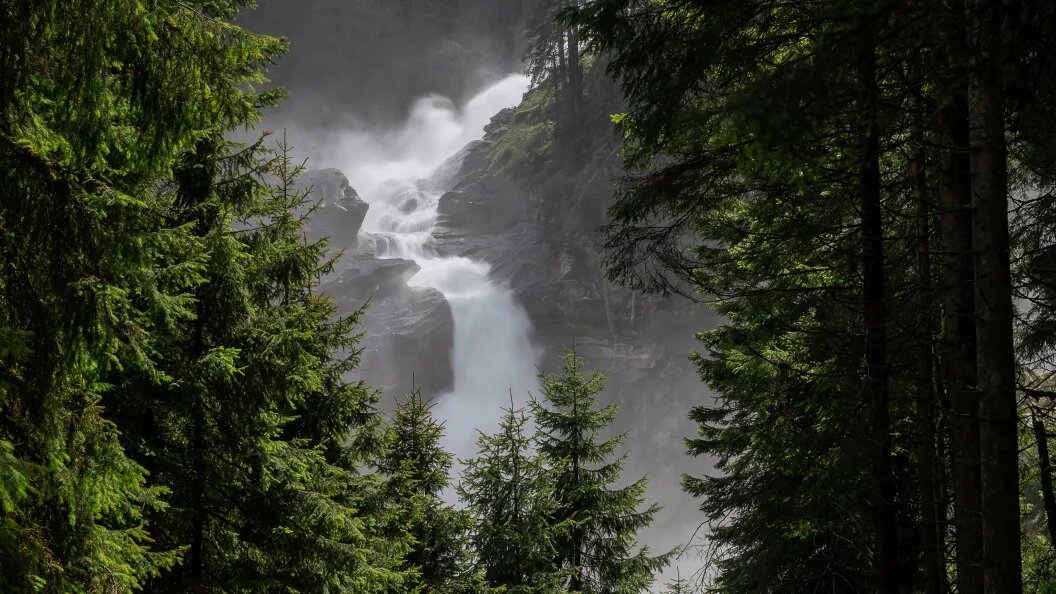    фото: Коллаж Царьграда