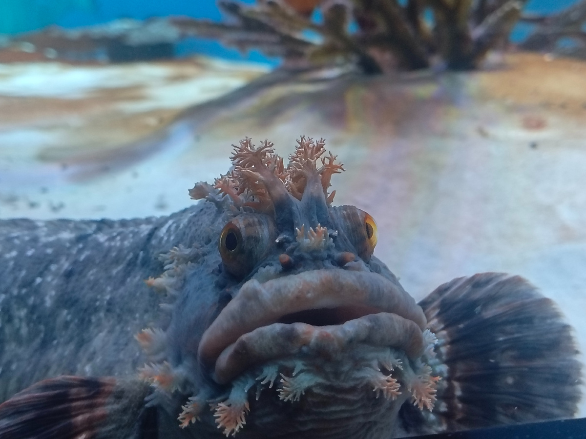 Где бы я ещё увидела такую красоту.