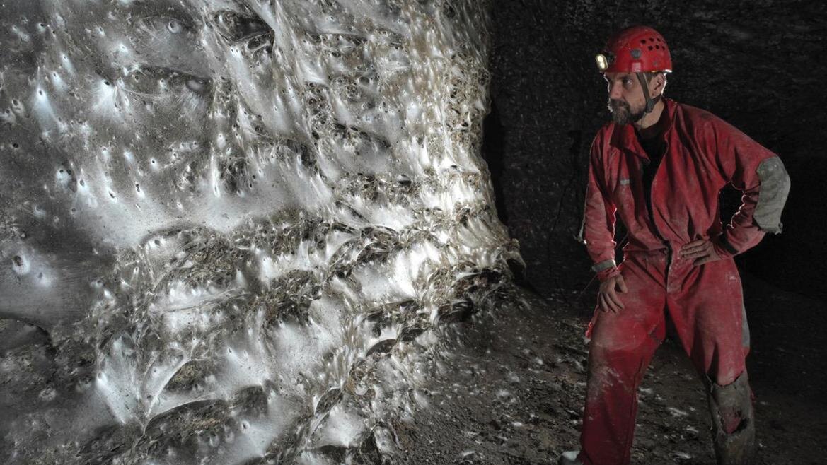 Фото: subtbiol.pensoft.net/Marek Audy