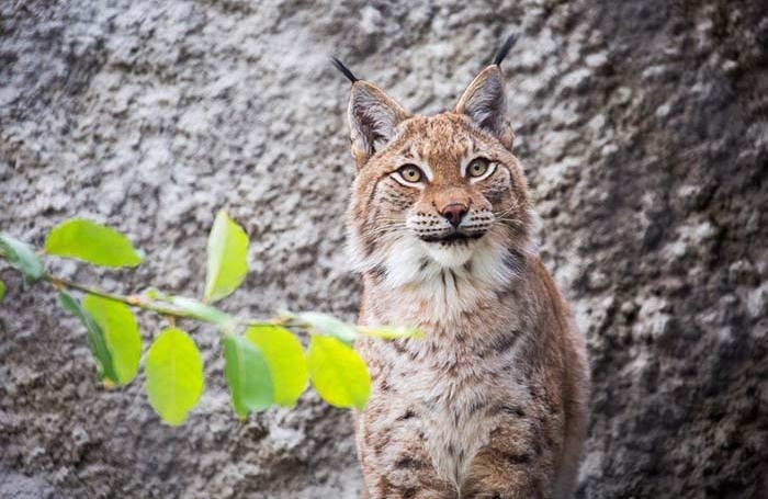    Галина Савина/Фотобанк Лори