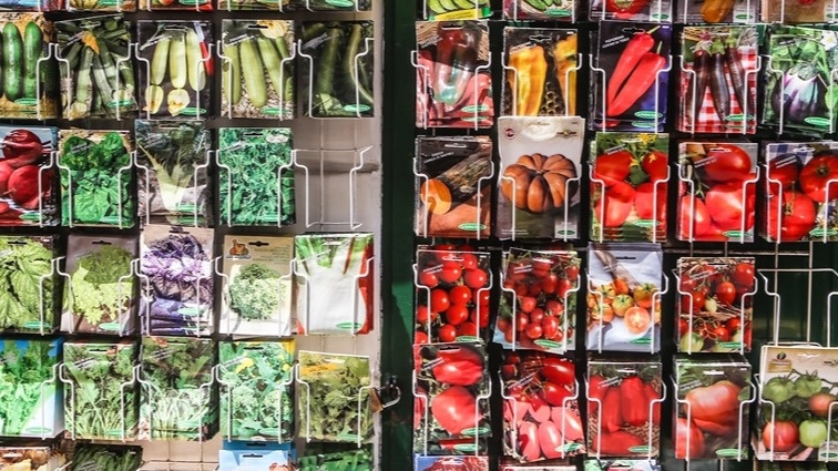 Покупка семян томатов