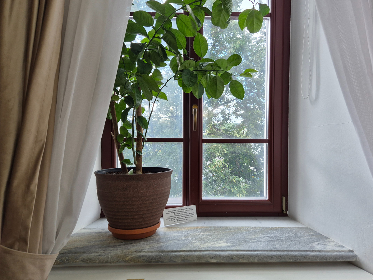 Тобольск. Музей семьи императора Николая II