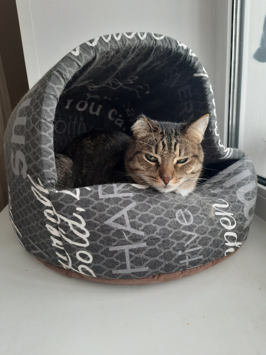 Муслим - первый вредина