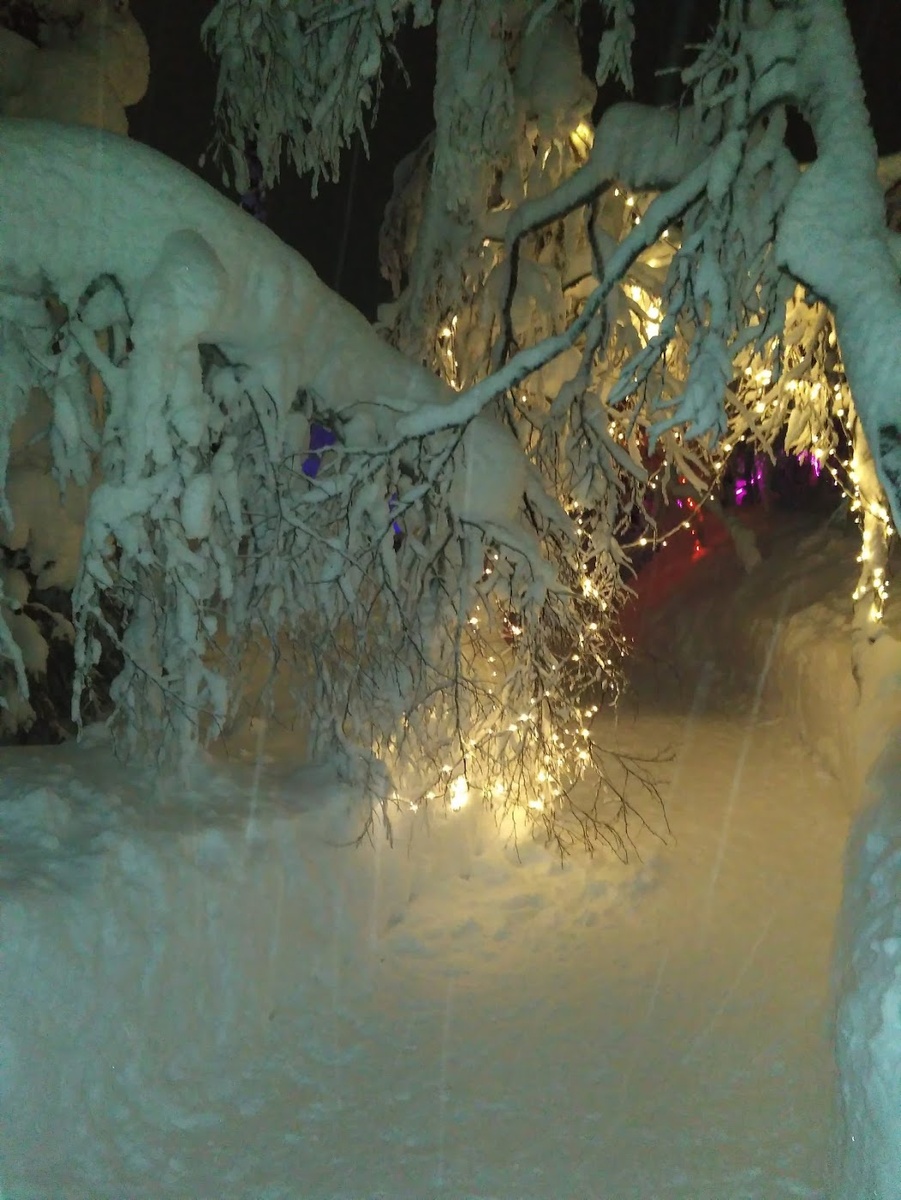 Арт-парк "Таинственный лес", Кировск, Мурманская область