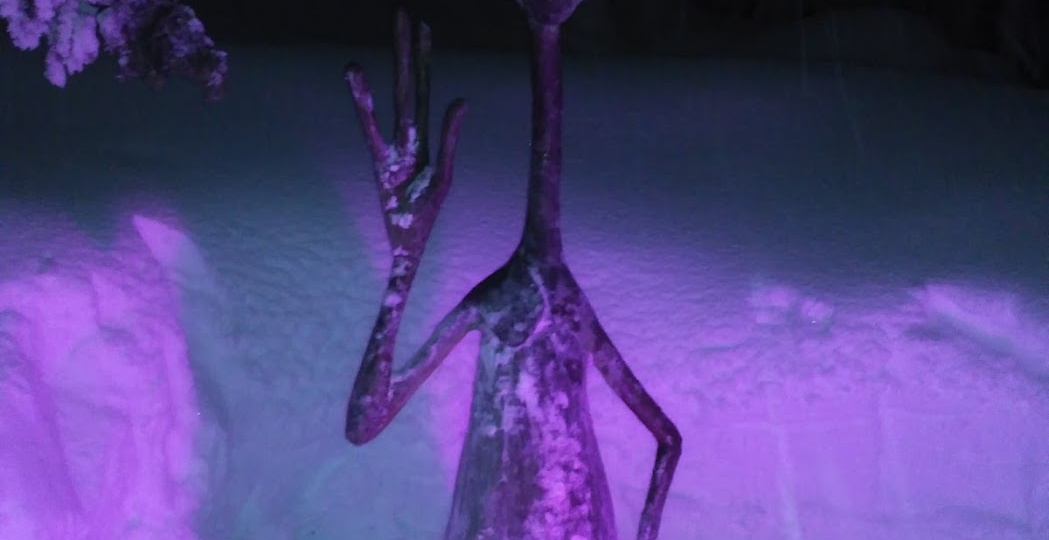 Арт-парк «Таинственный лес» в Кировске — волшебство Хибин зимой