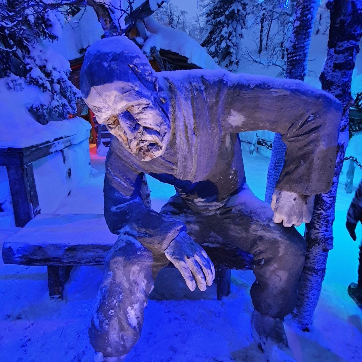 Таинственный лес в Хибинах