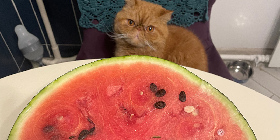 Как мы провели выходные: где были и что готовили.